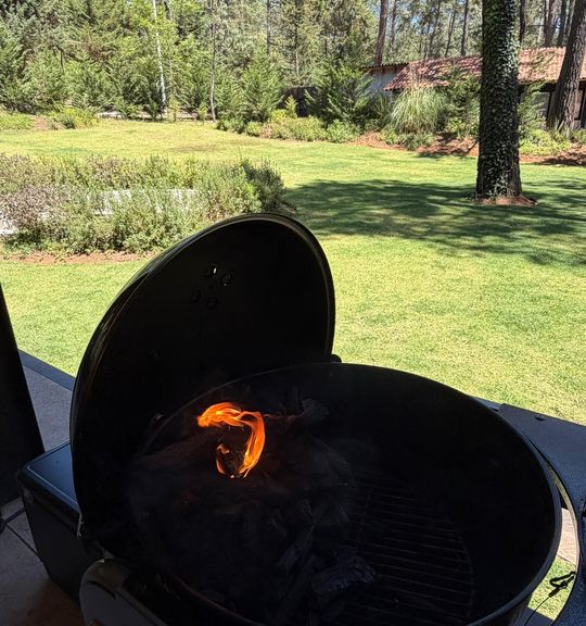 Asador abierto con la brasa encendida, en un jardín con pinos al fondo